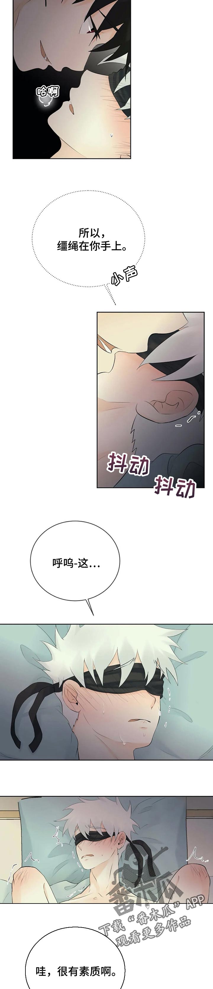 第41章：快说5