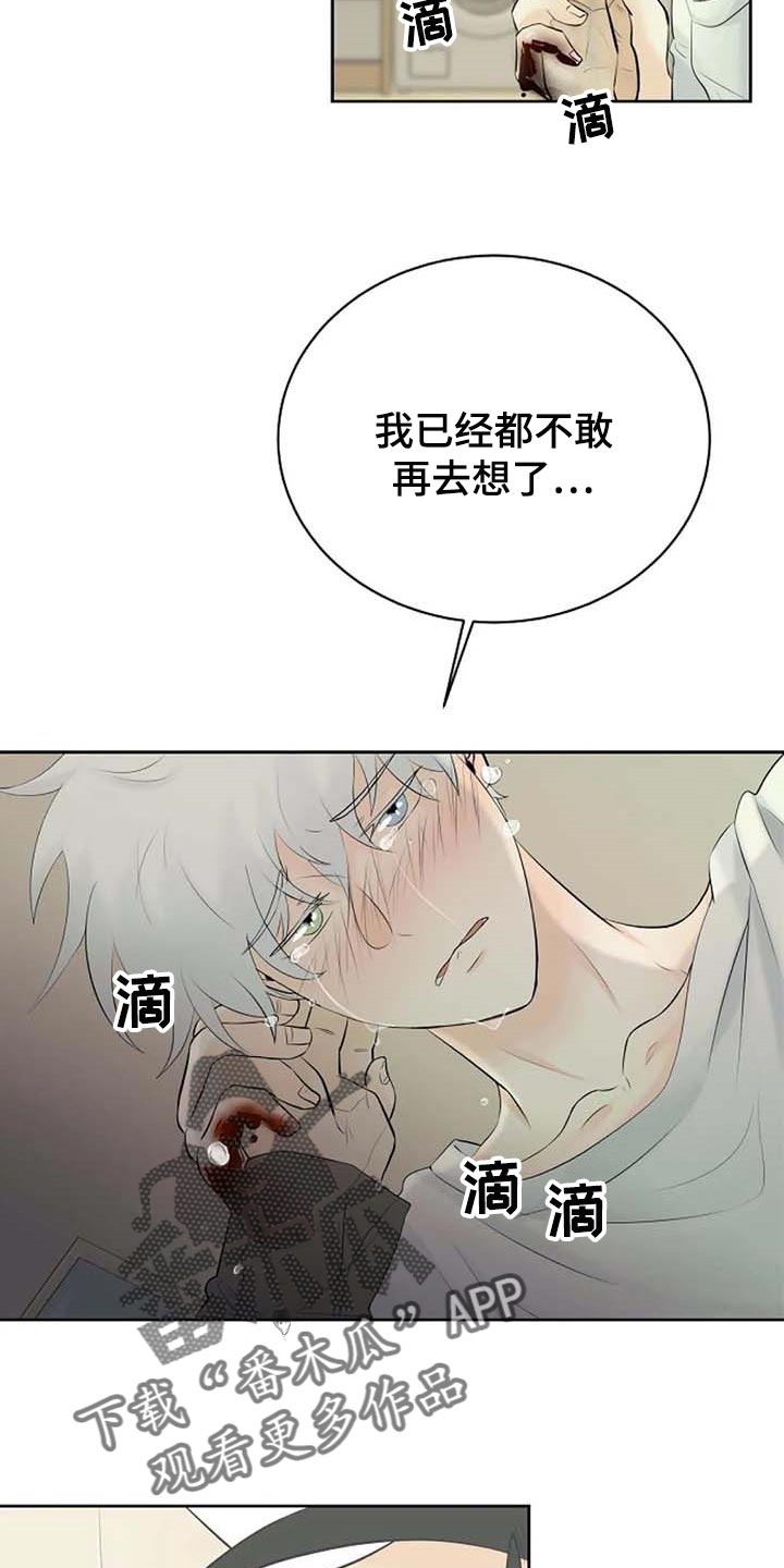 第55章：治疗12
