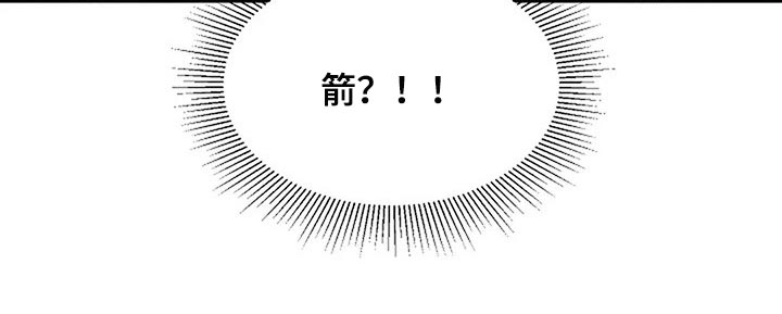 第73章：分出胜负27