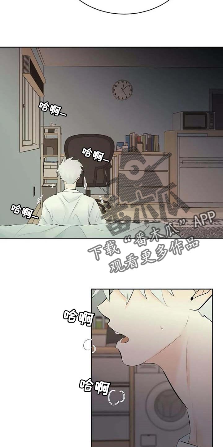 第53章：自编自导22
