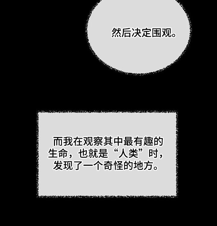 第89章：奇怪的地方31