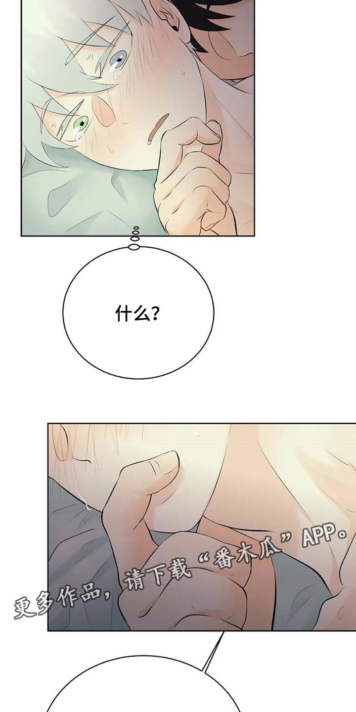 第45章：解气为止15