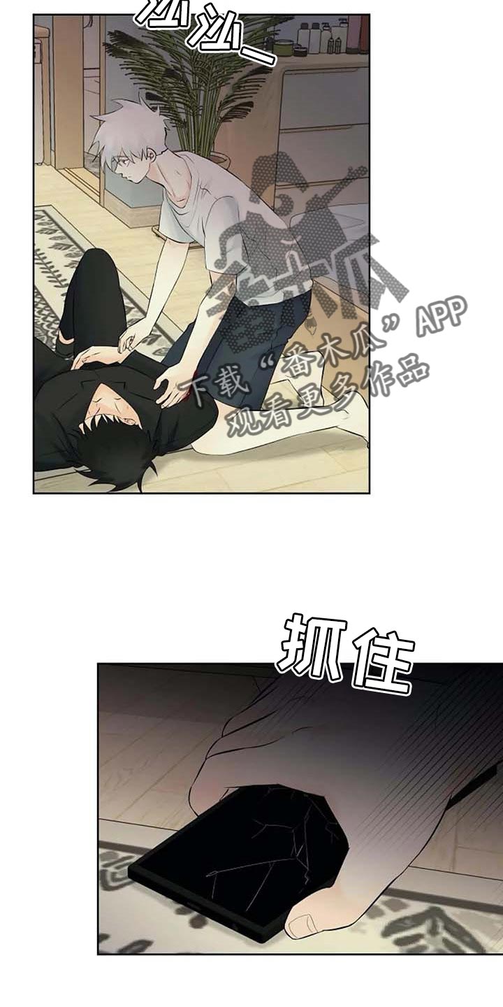 第53章：自编自导24