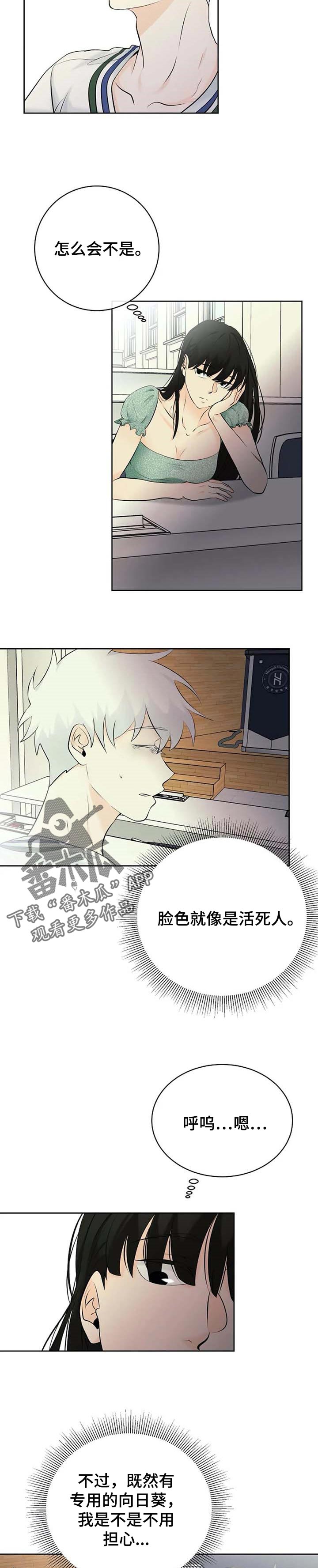 第33章：晕倒9