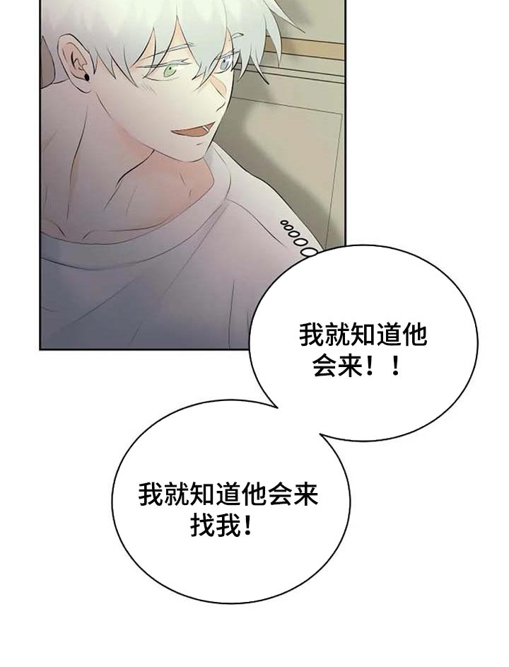 第52章：受伤10