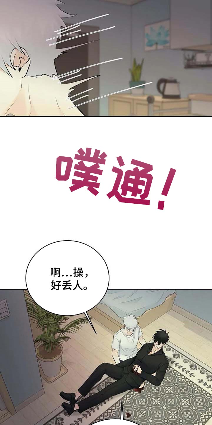 第52章：受伤17