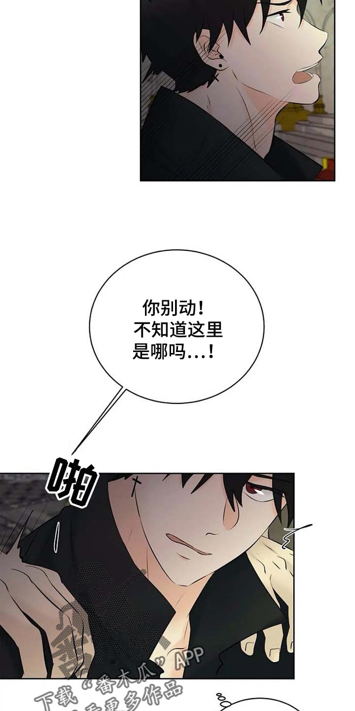 第61章：偏方10