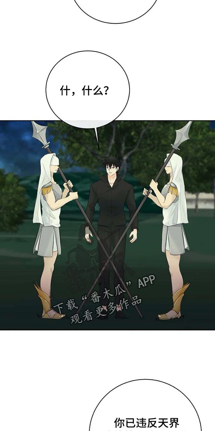 第60章：逮捕21