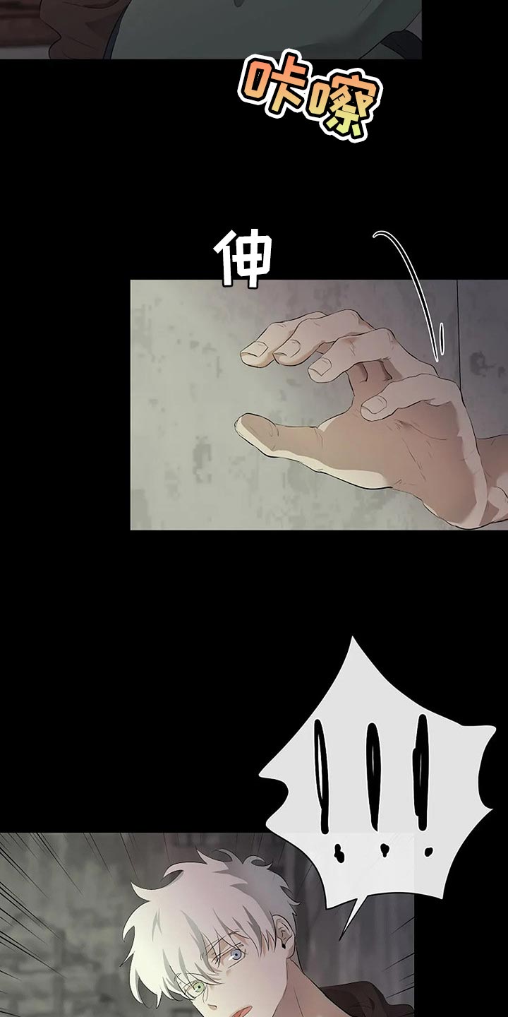 第80章：我们该走的路25