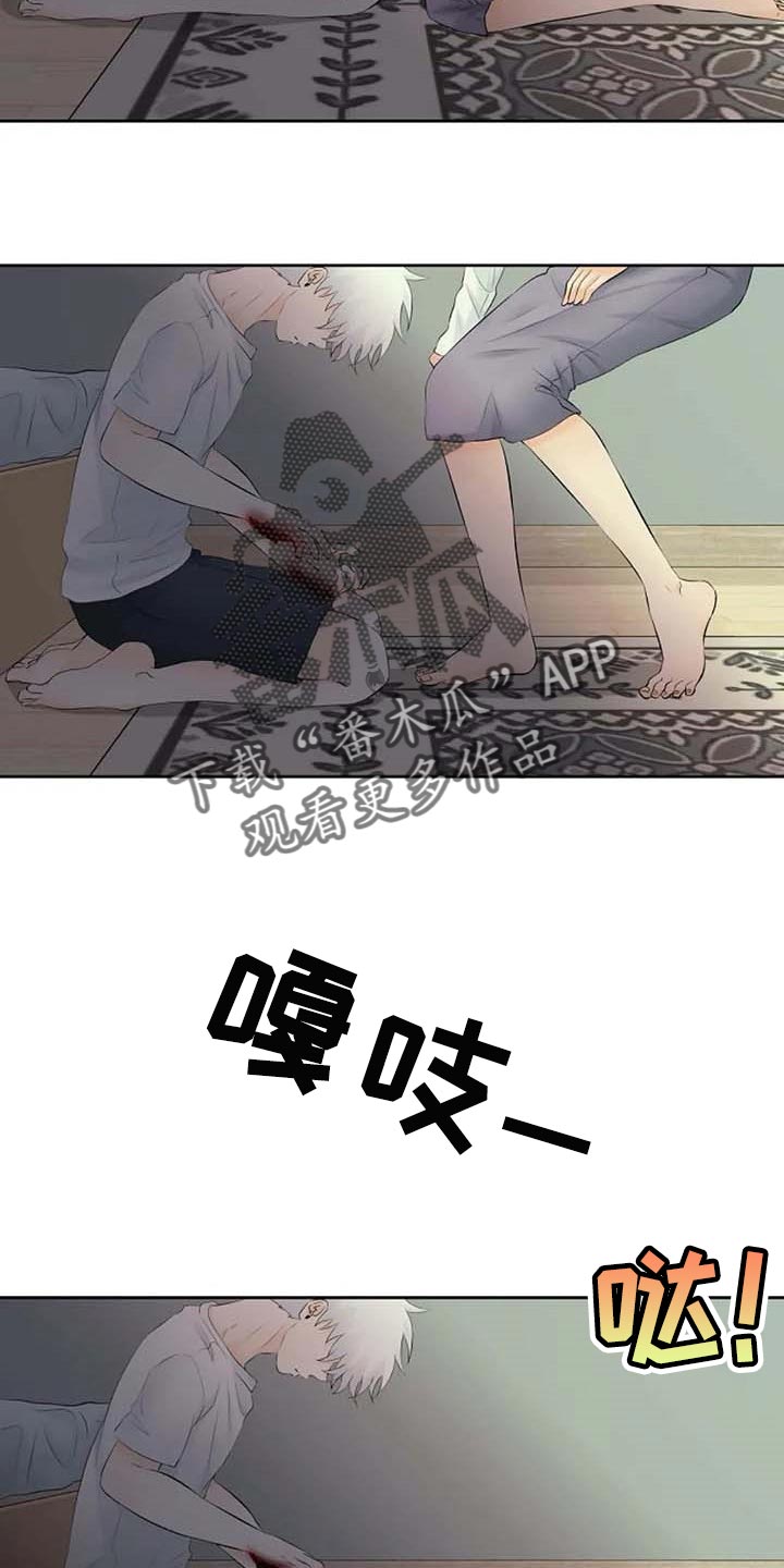 第54章：看不到23