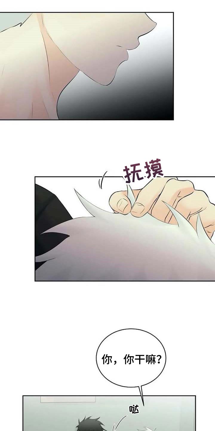 第49章：存在的理由19