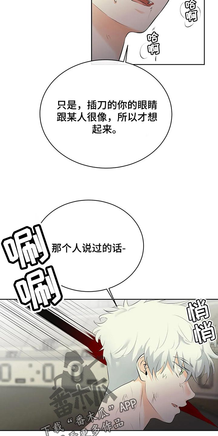 第73章：分出胜负33