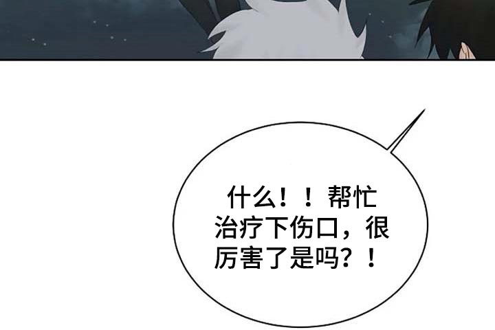 第59章：我的命在你手上10