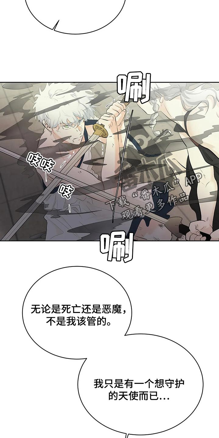 第73章：分出胜负19