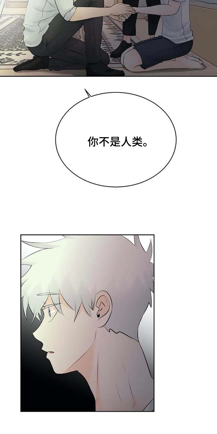 第56章：解释22
