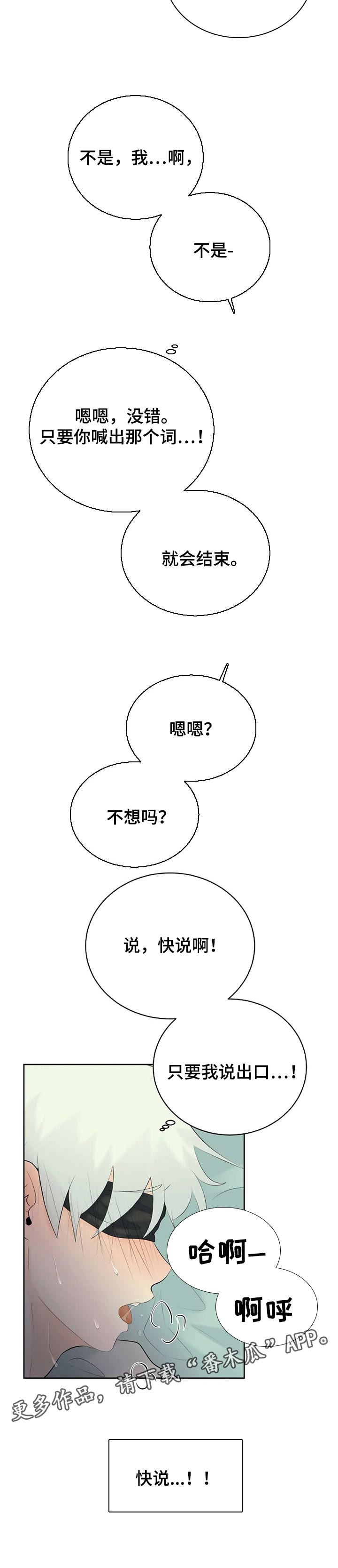 第41章：快说7