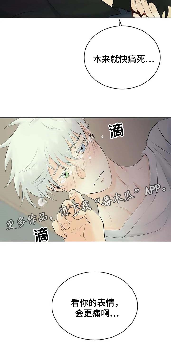 第52章：受伤20