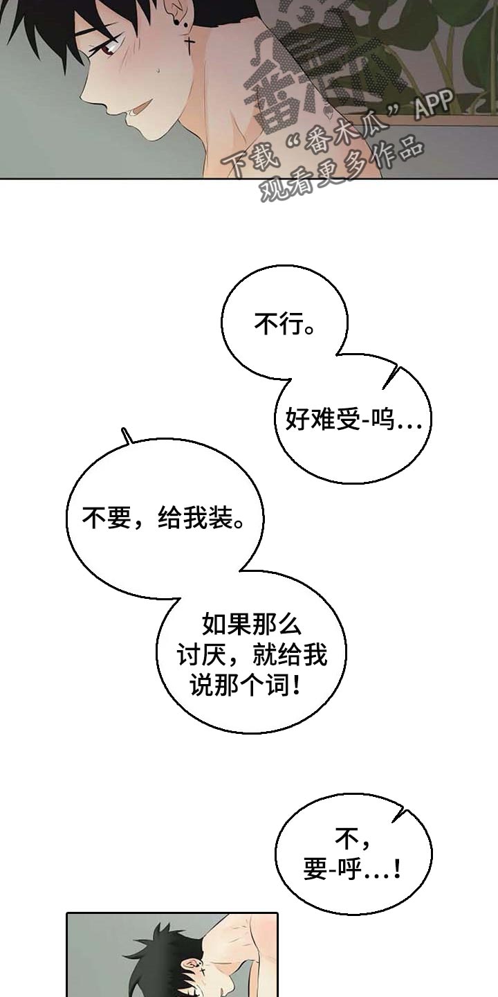 第45章：解气为止10