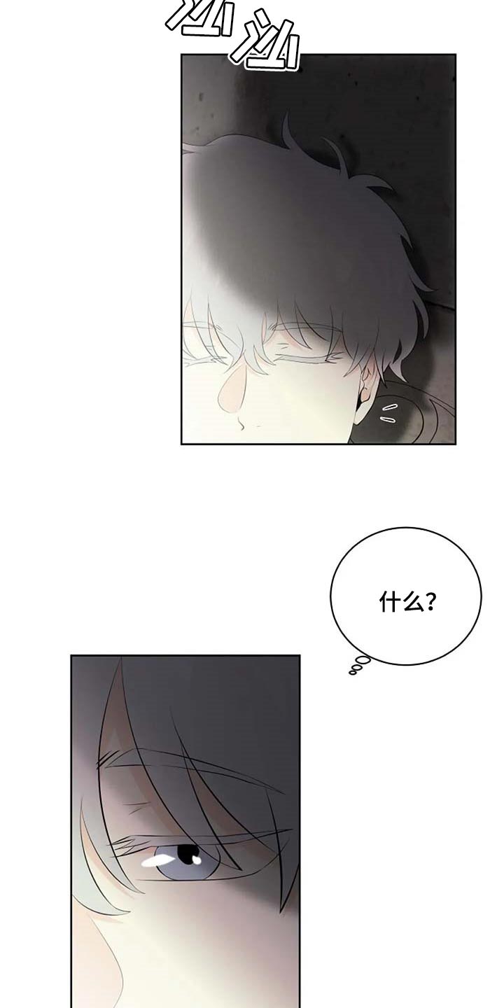 第66章：危险的人9