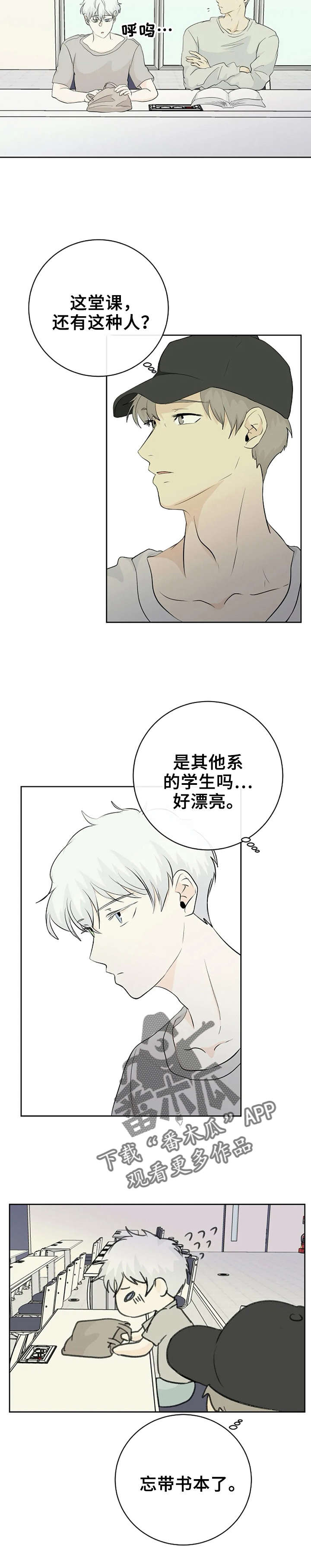 第5章：好漂亮5