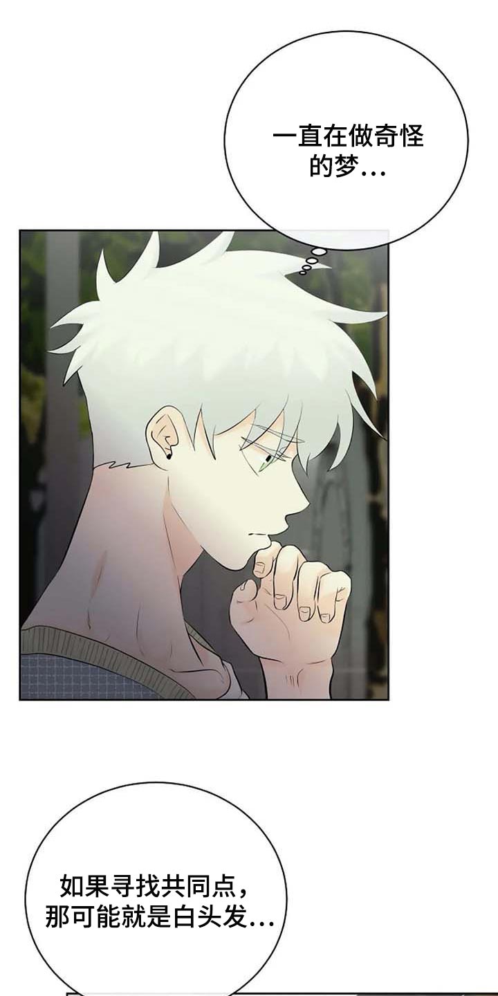 第47章：特点符合12