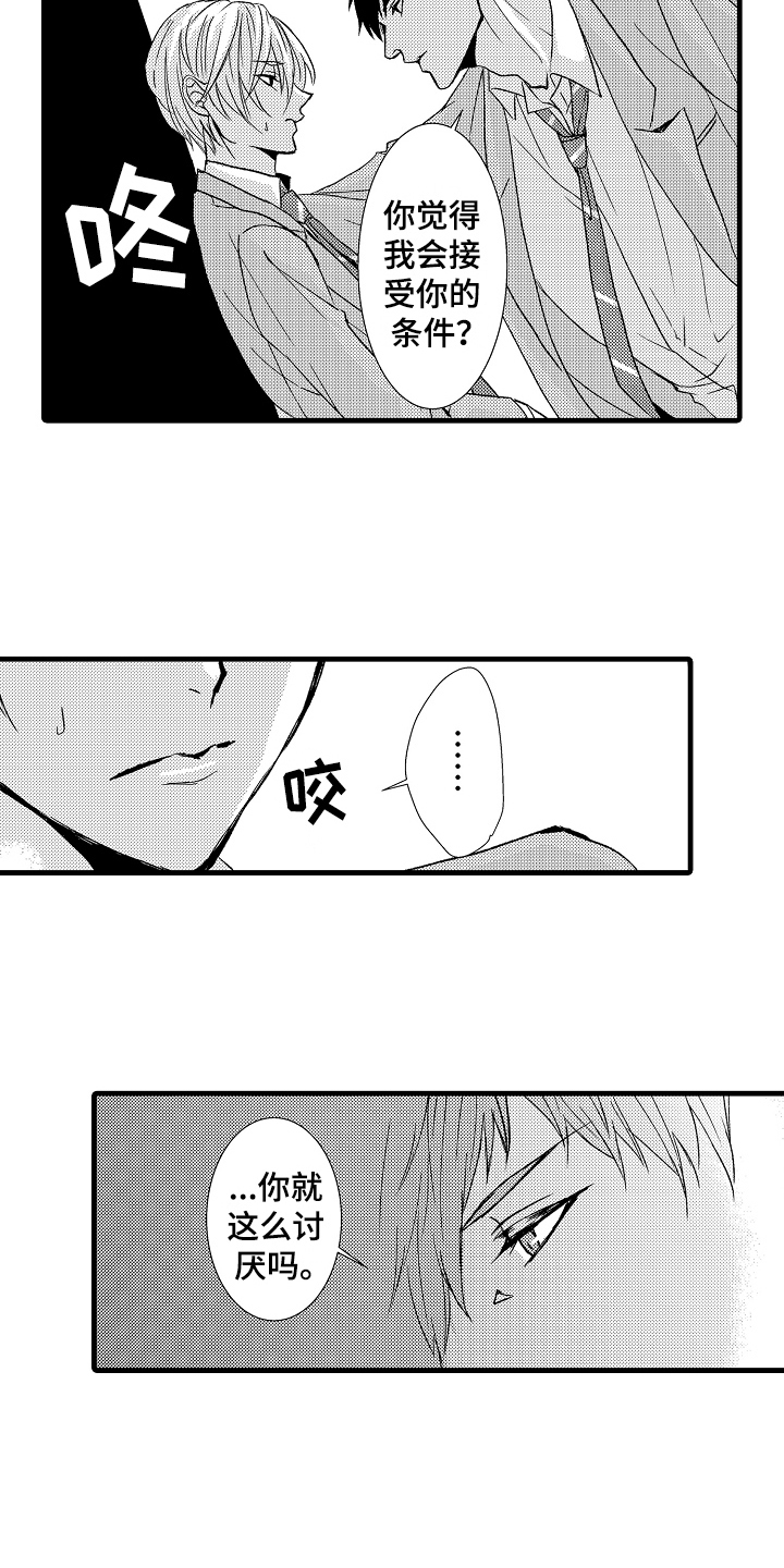 第13章：约定6