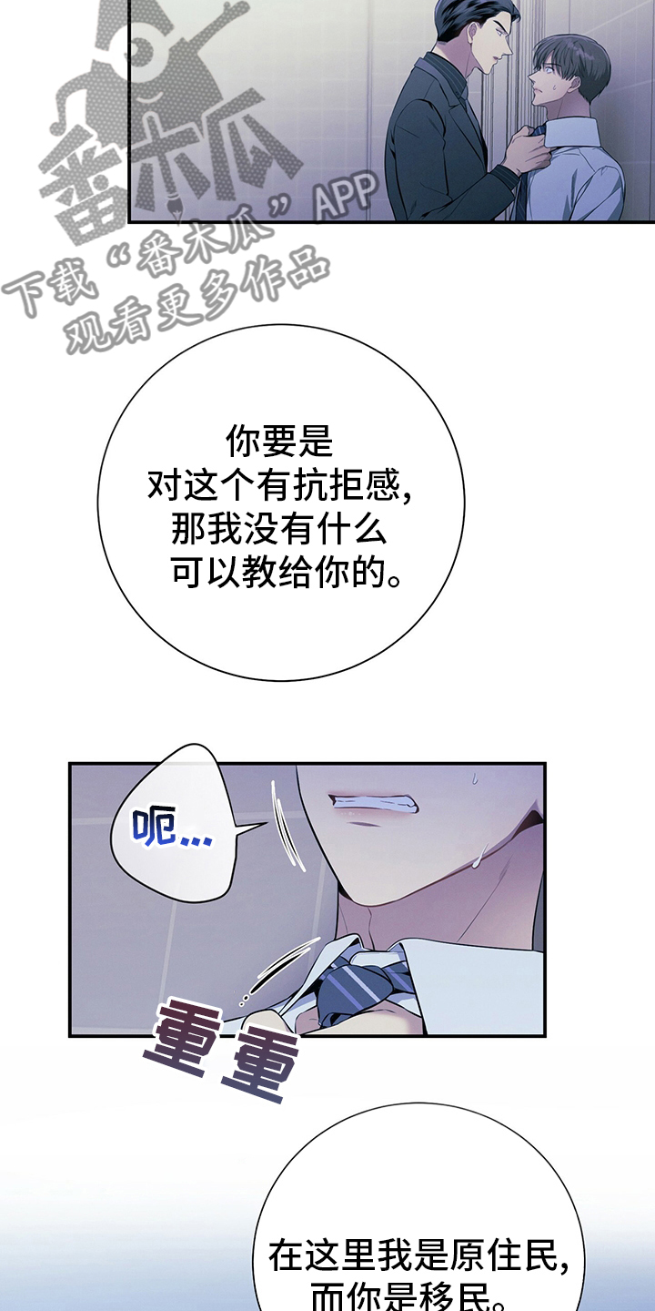 第37章：轻蔑6
