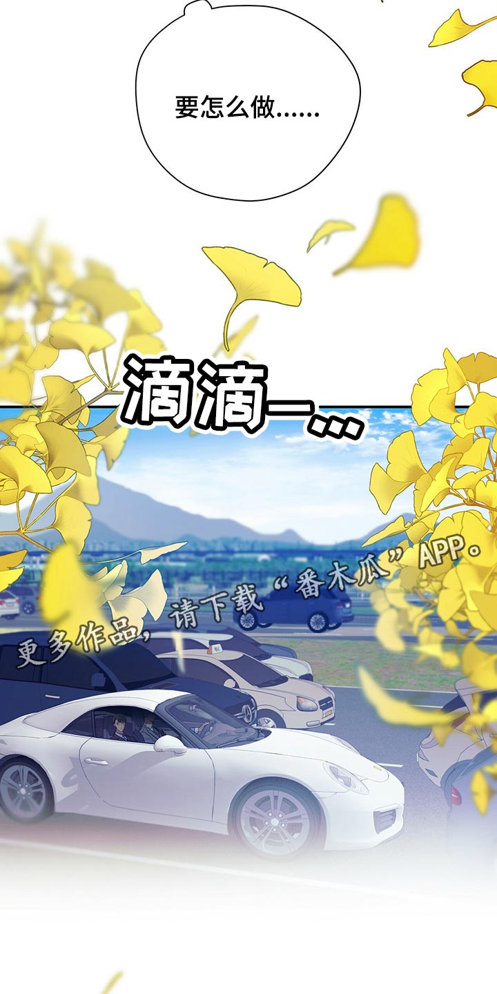 第72章：一较高下27
