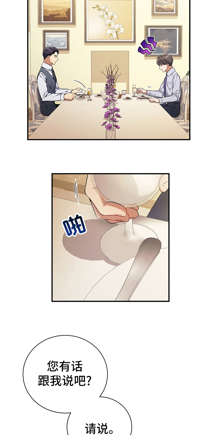 第41章：我看到了11