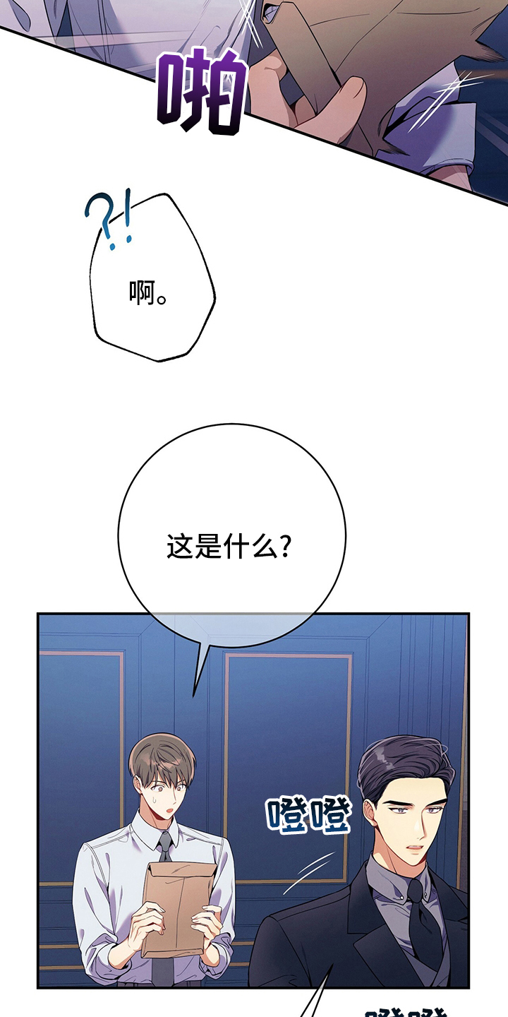 第61章：资料24