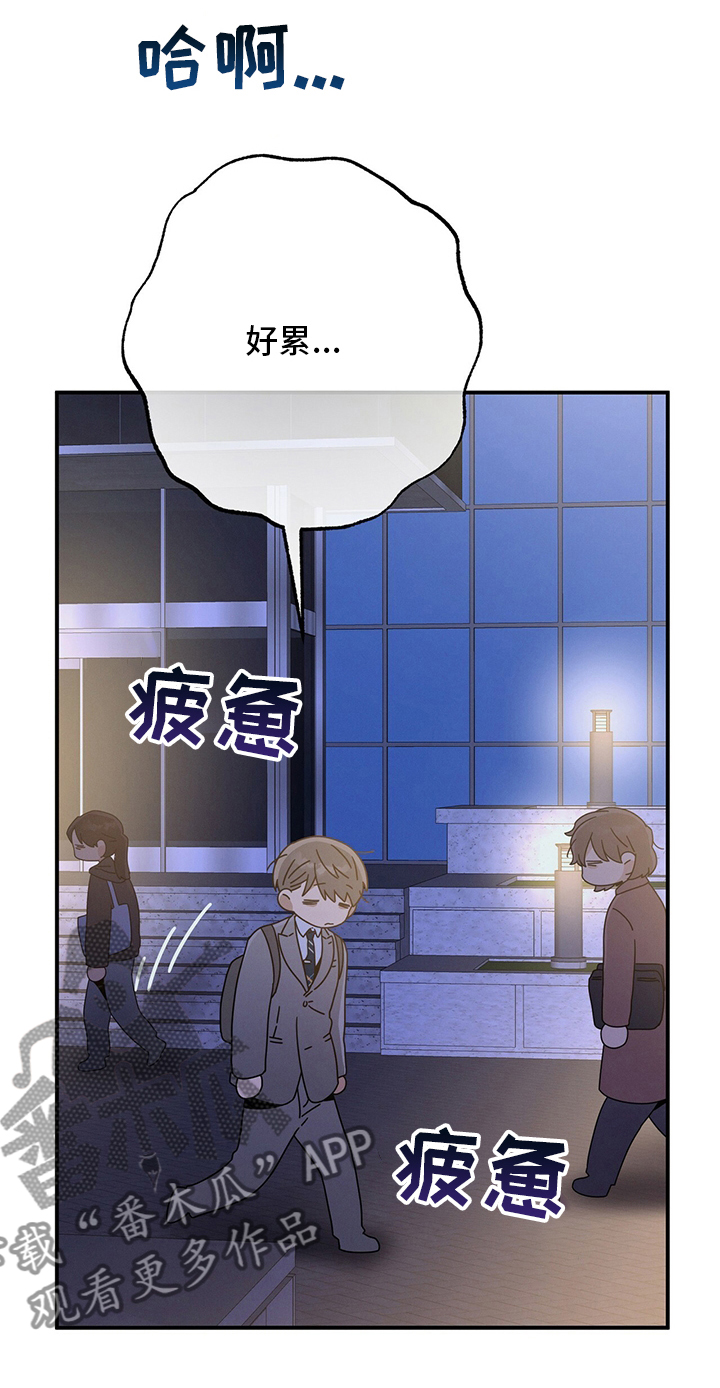 第51章：第二场考试20