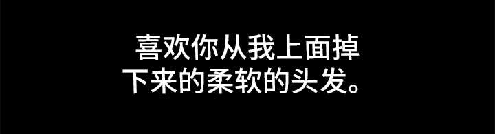 第39章：保护7