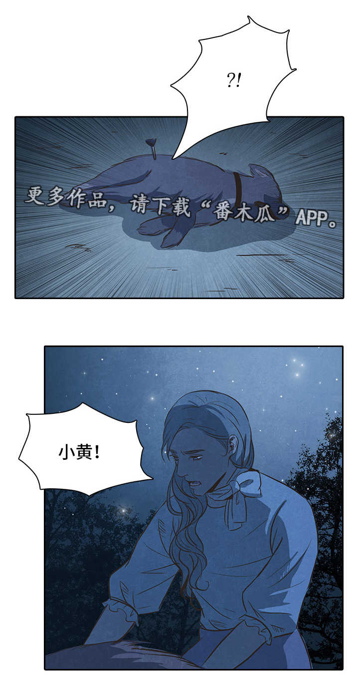 第37章：成功6