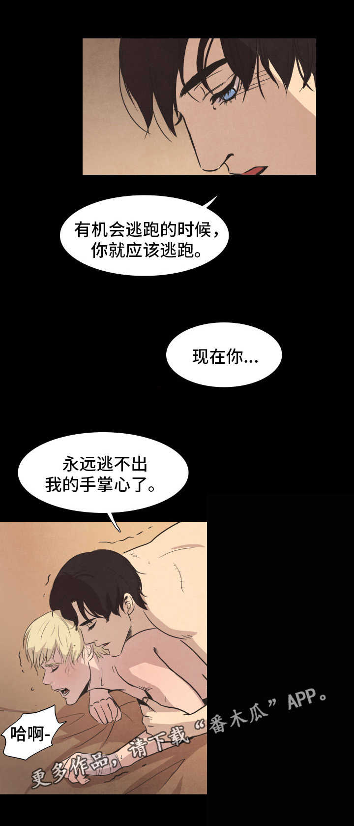 第29章：选择6