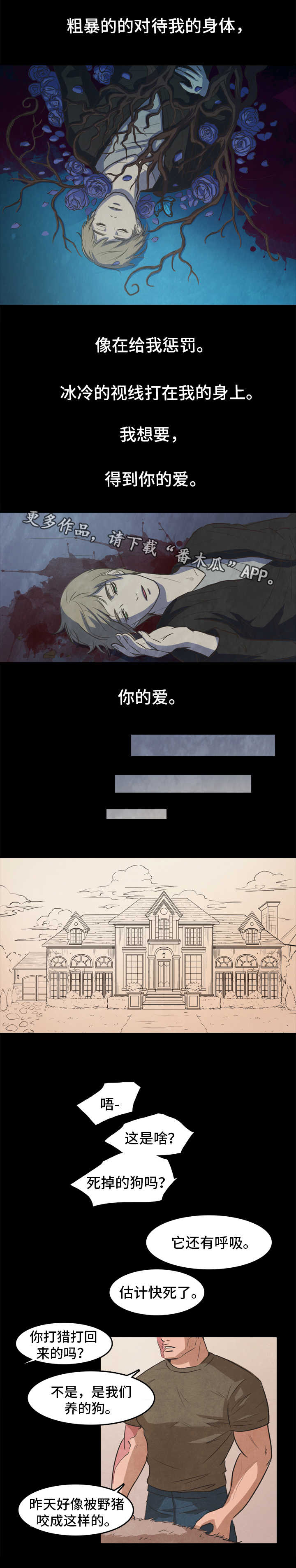 第25章：爱情5