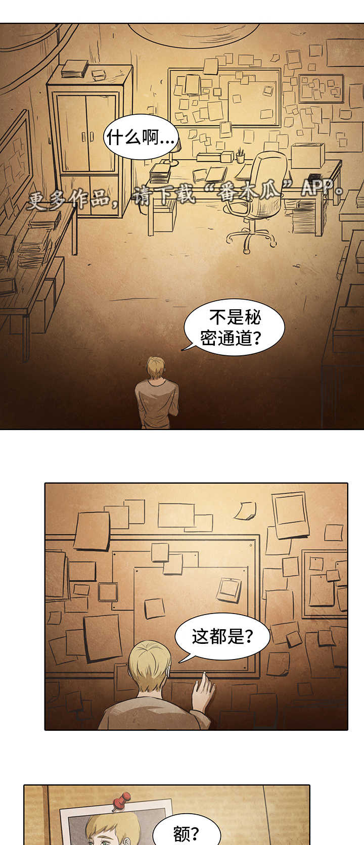 第13章：调查1