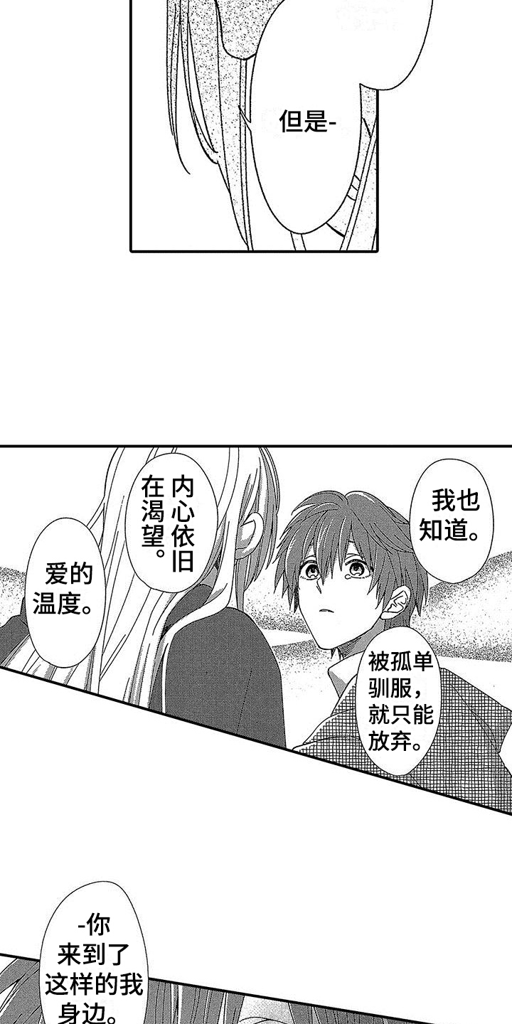 第13章：安慰12