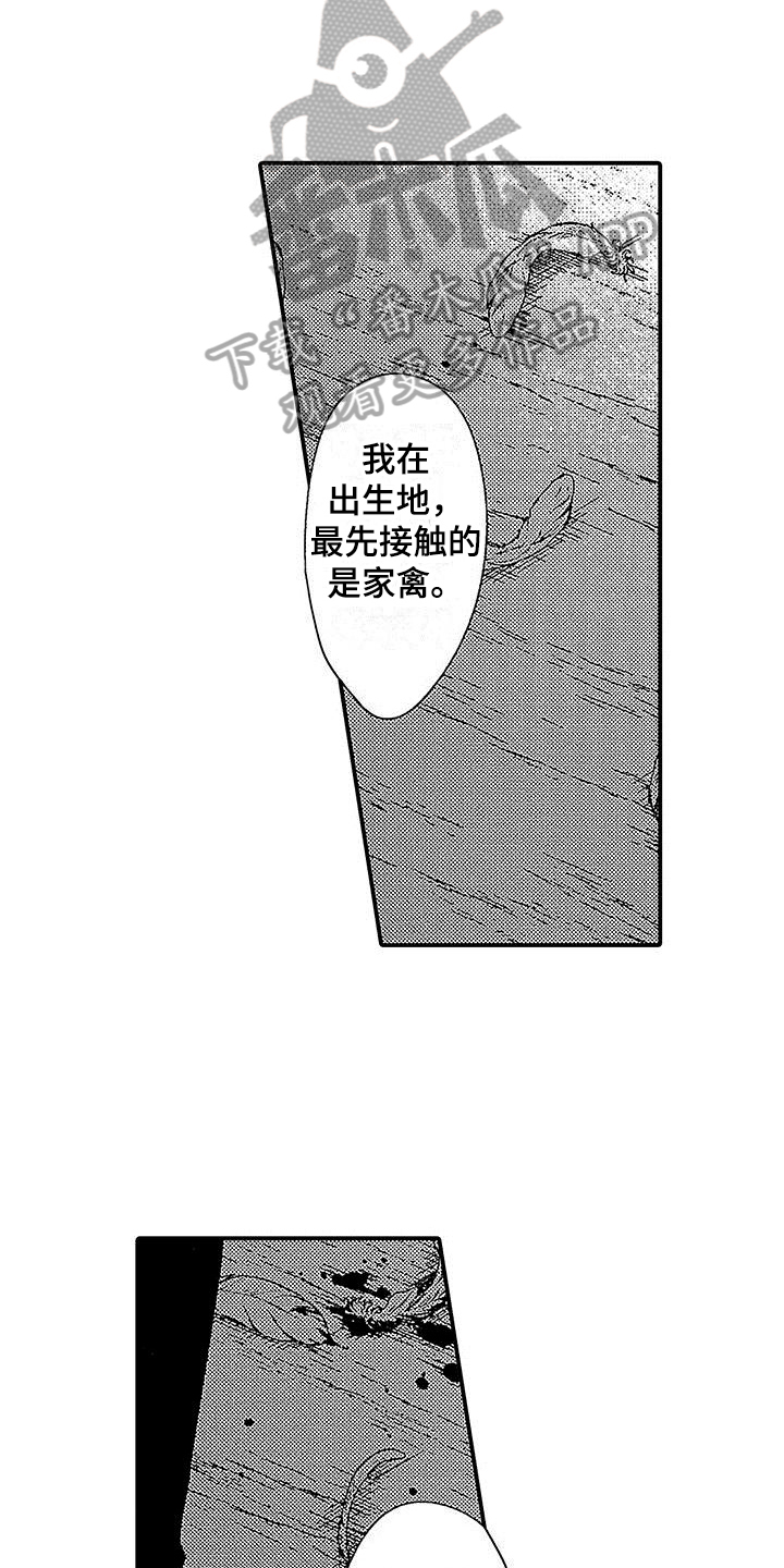 第17章：闲言碎语7