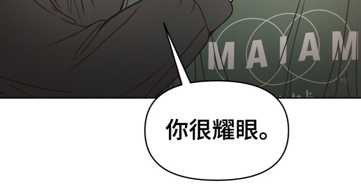 第13章：你很耀眼17