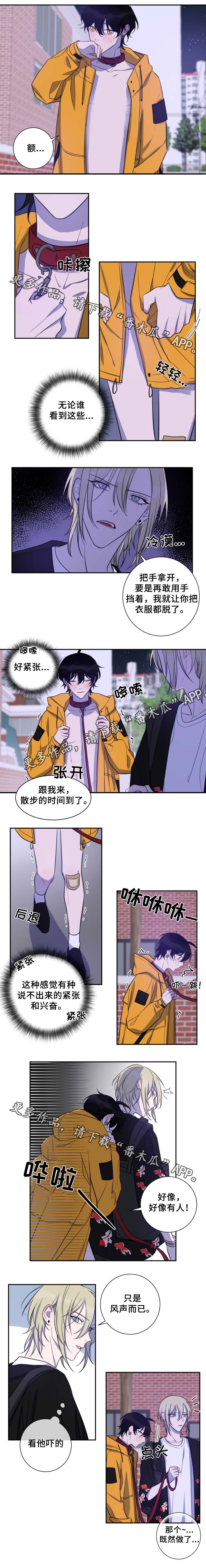 第34章：按我说的做0