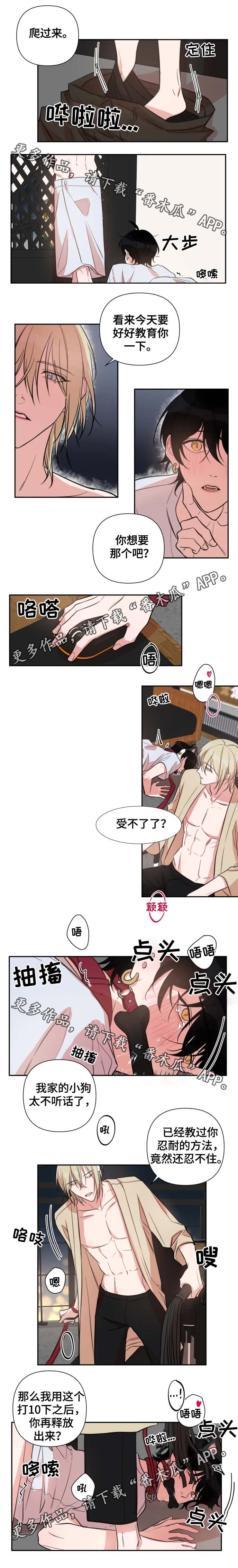 第42章：教育2