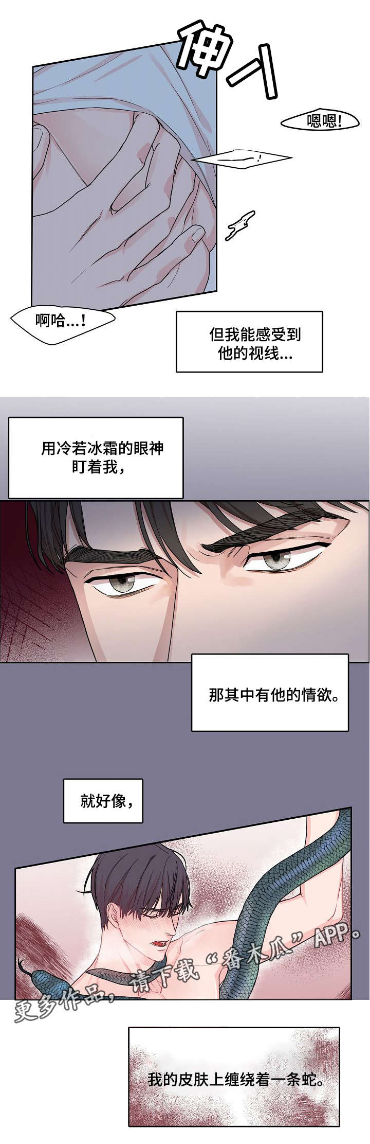 第11章：挑衅7