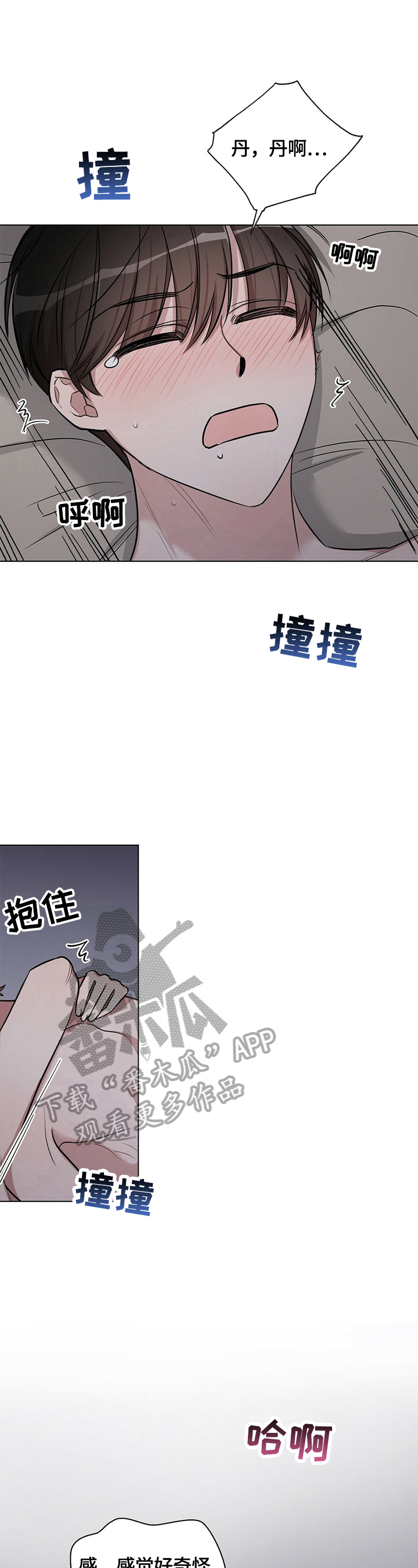 第23章：【外传】非常好7