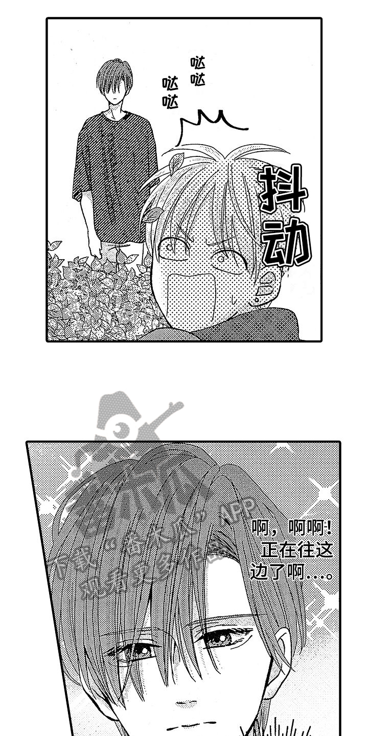 第18章：暗中观察12