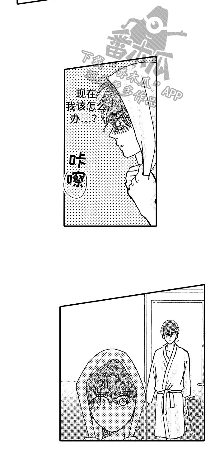 第31章：提议13