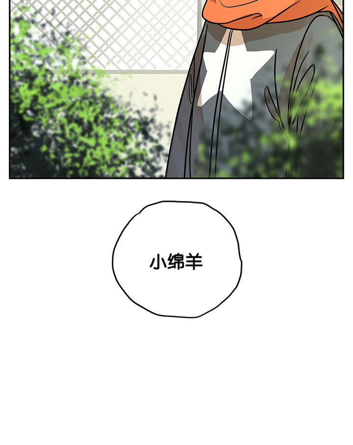 第24章：8