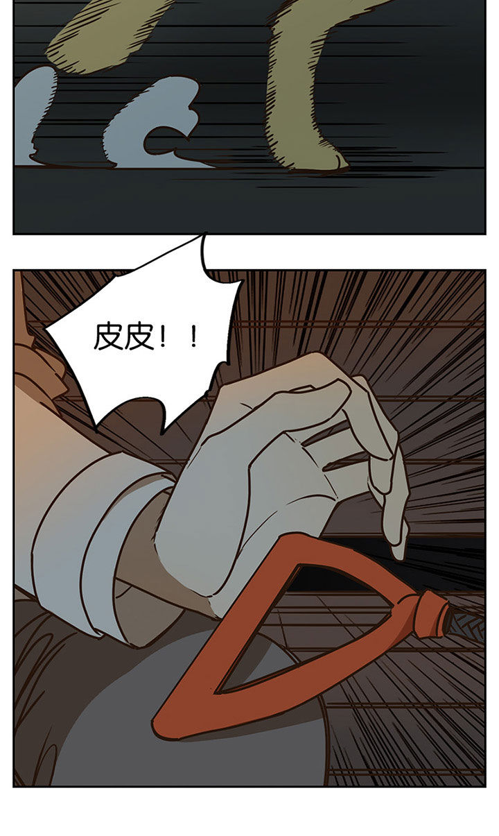 第88章：5