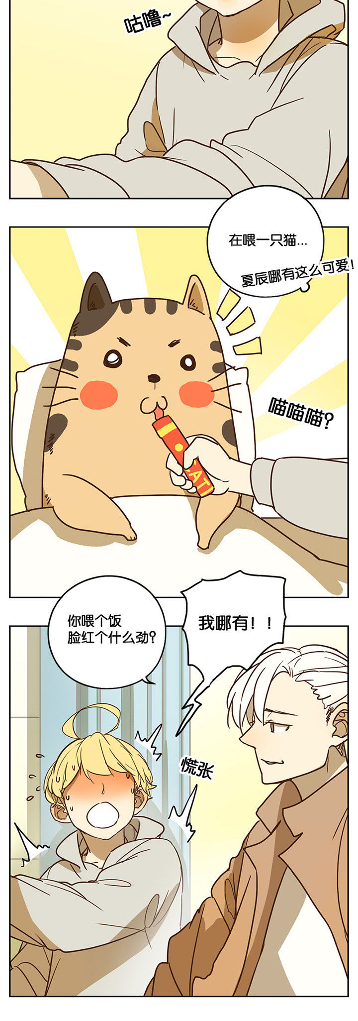 第33章：5