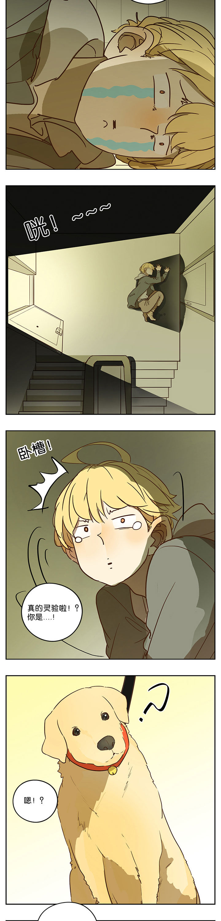第41章：7