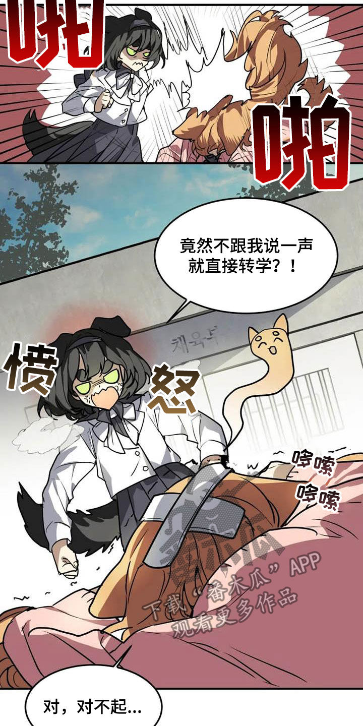 第23章：态度转变6